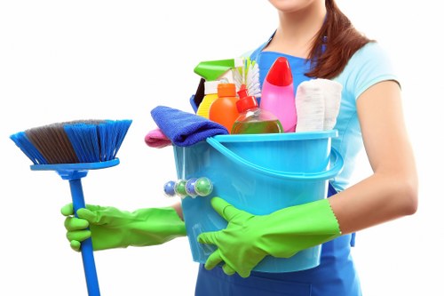Cleaning issue assessment with follow-up review steps
