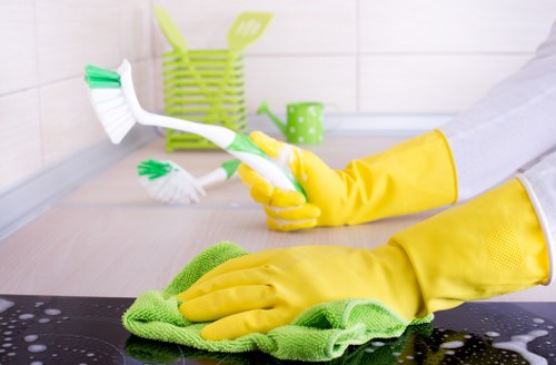 Risk assessment taking place before carpet cleaning in a home
